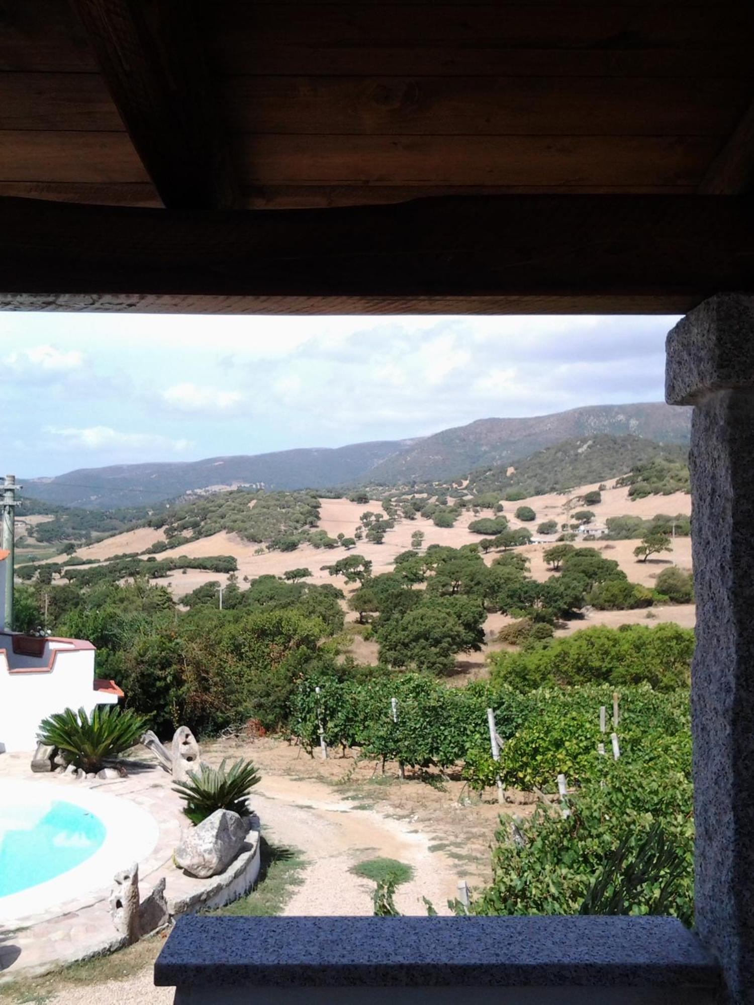 Agriturismo B&B Domo De Resteblas Berchidda Exterior photo