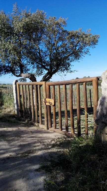 Agriturismo B&B Domo De Resteblas Berchidda Exterior photo