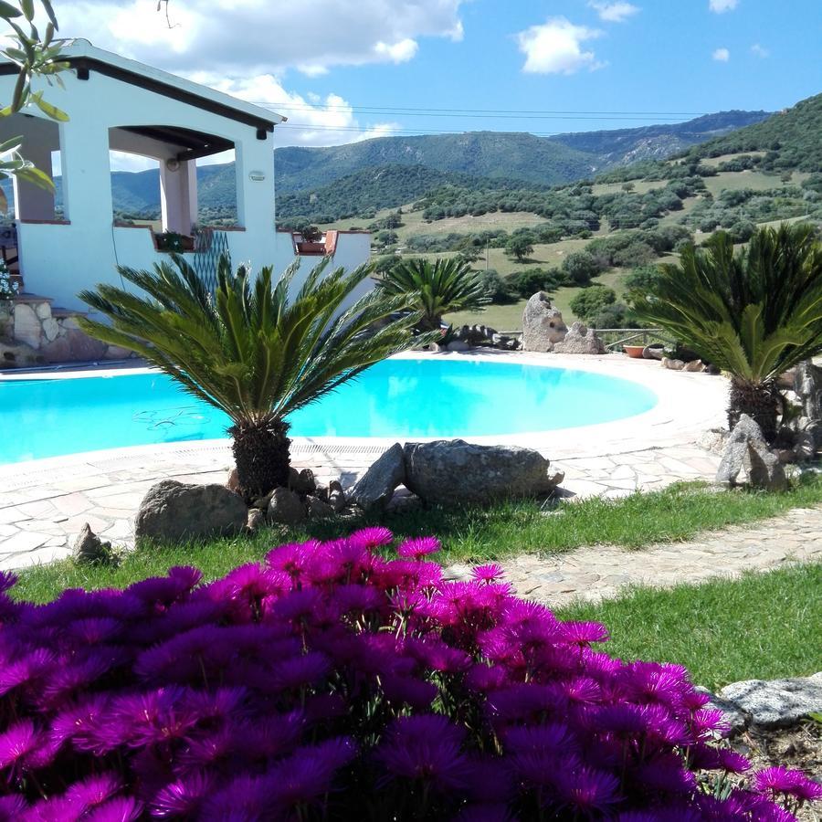 Agriturismo B&B Domo De Resteblas Berchidda Exterior photo