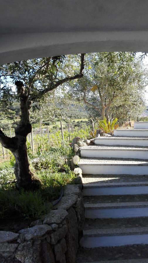 Agriturismo B&B Domo De Resteblas Berchidda Exterior photo